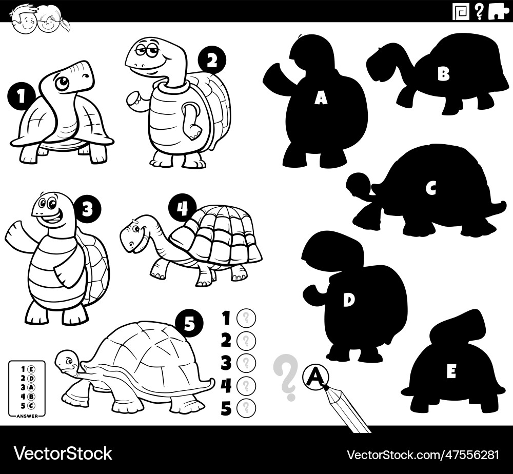 Shadows game with funny turtles characters vector image