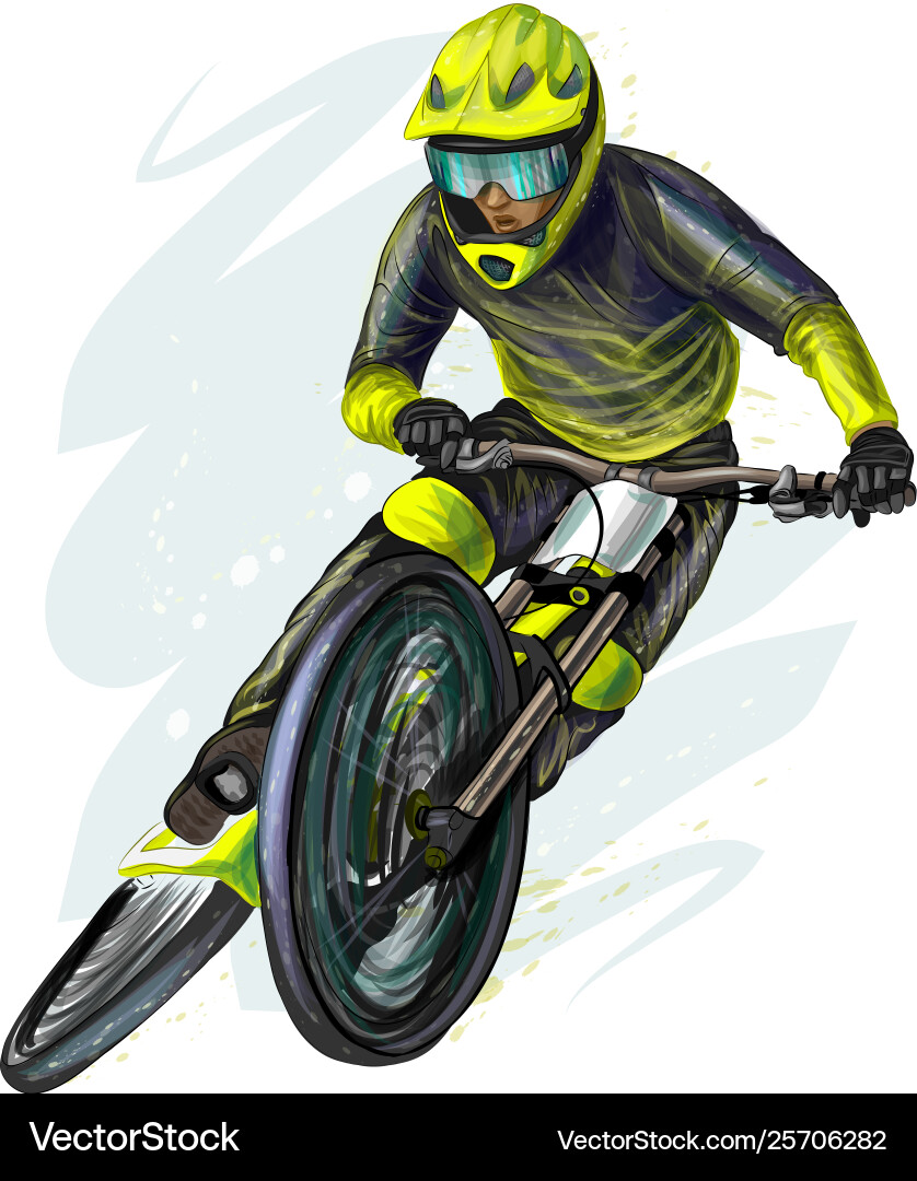 Cyclist on a mountain bike white background vector image