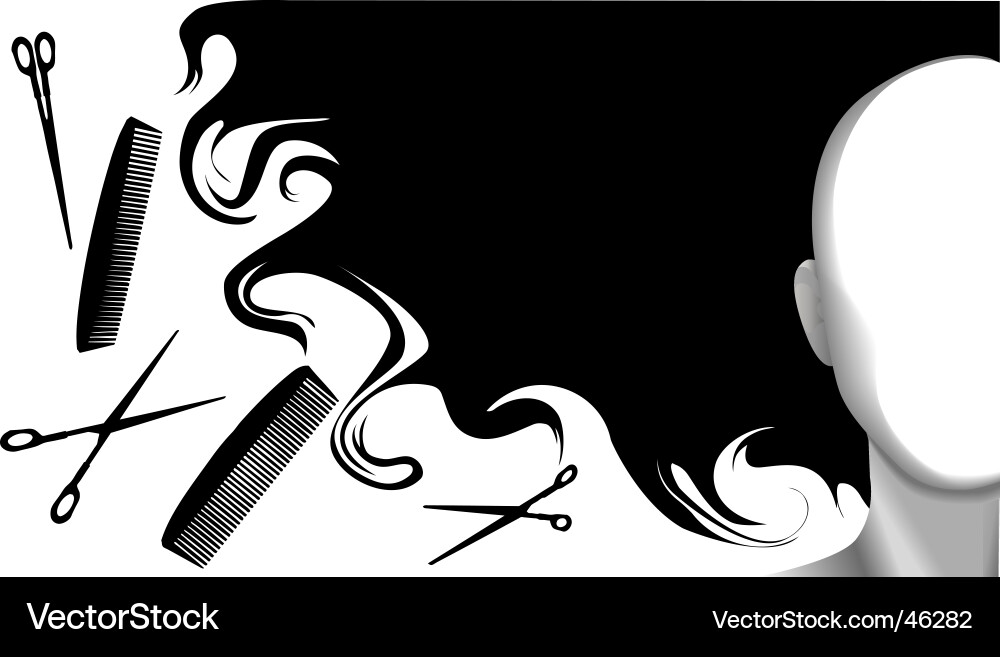 Hair Beauty Elements Vector Image