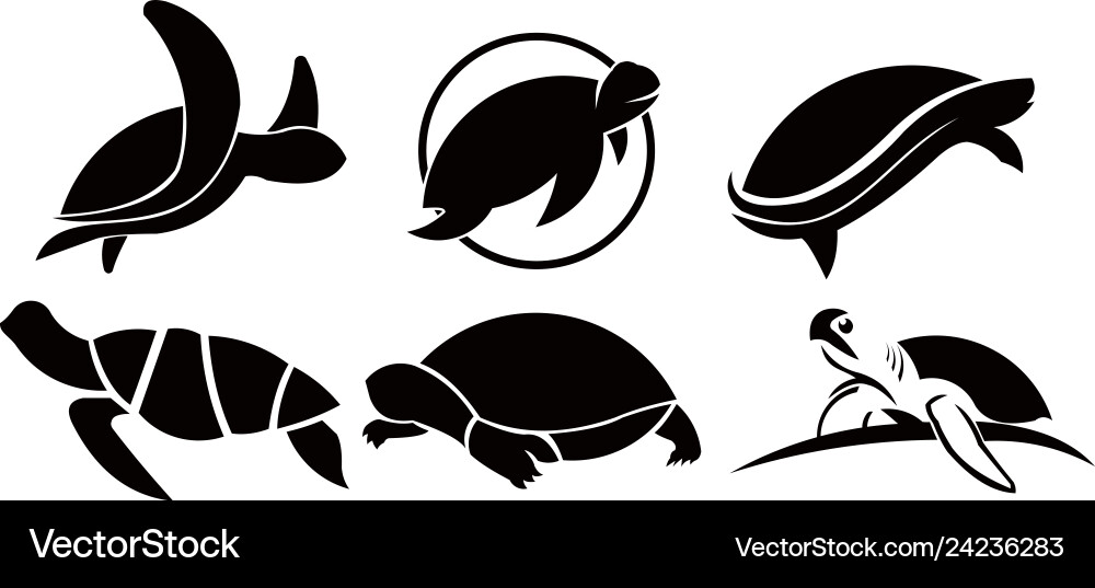 Animal turtle Royalty Free Vector Image - VectorStock