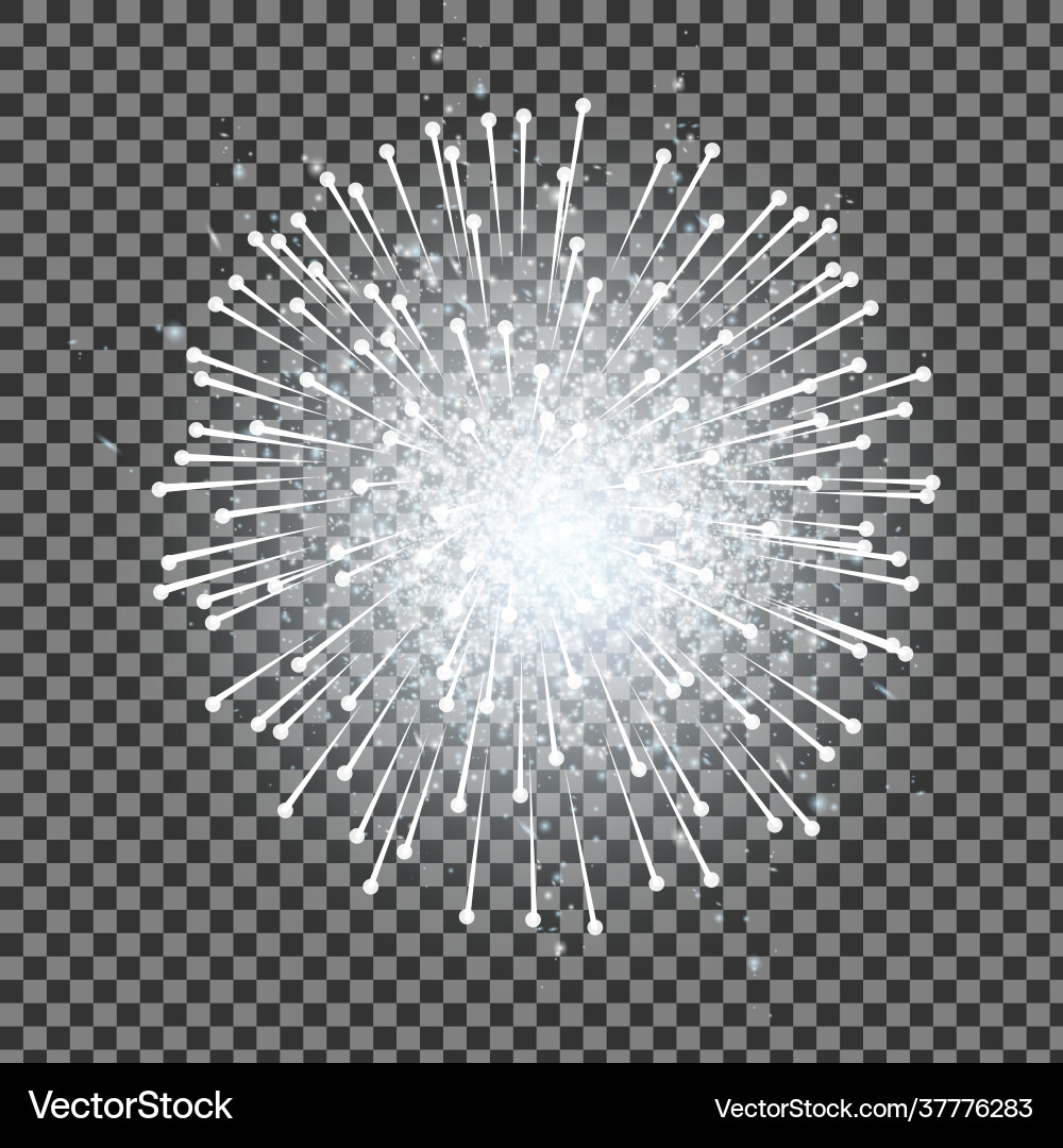 Isolated Fireworks Display Vector Image