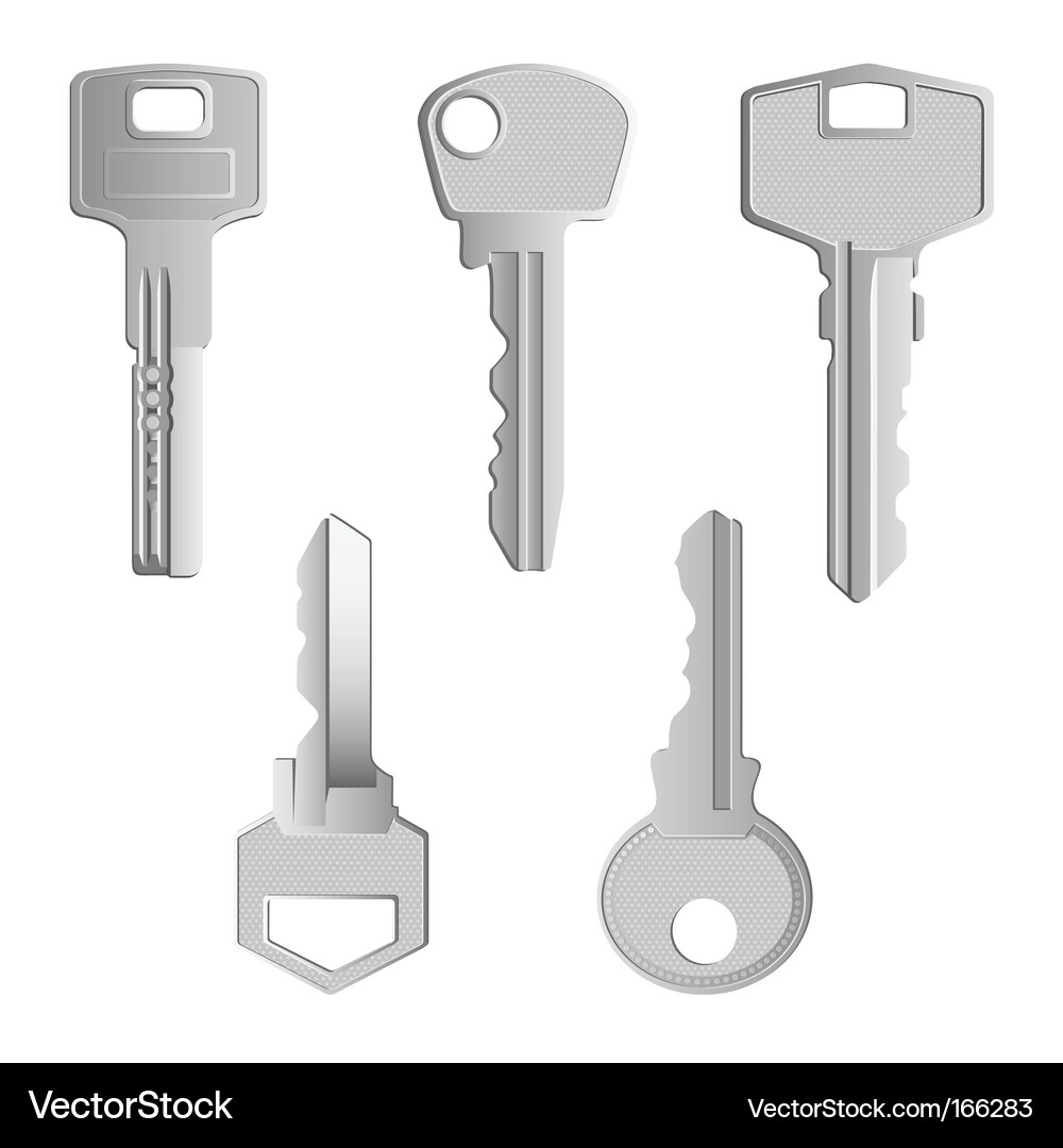 Metallic Keys Collection Vector Image