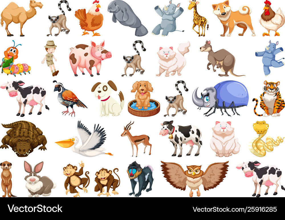 Diverse Animal Collection Vector Image