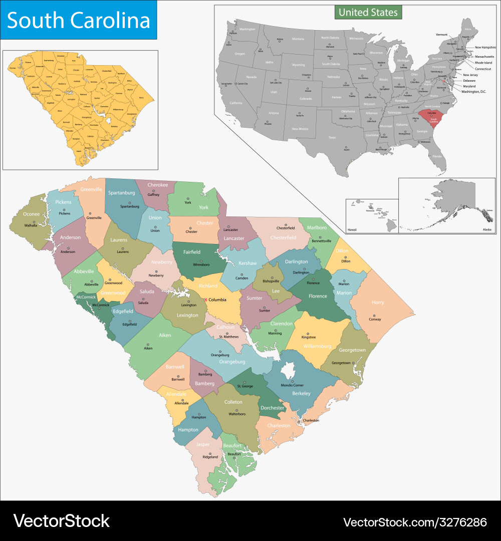 South Carolina County Map Vector Image