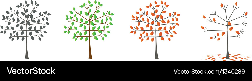 Tree Seasonal Collection Vector Image