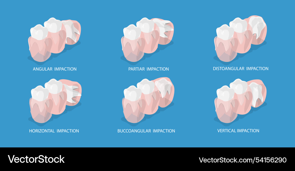 3d isometric flat of wisdoms Vector Image