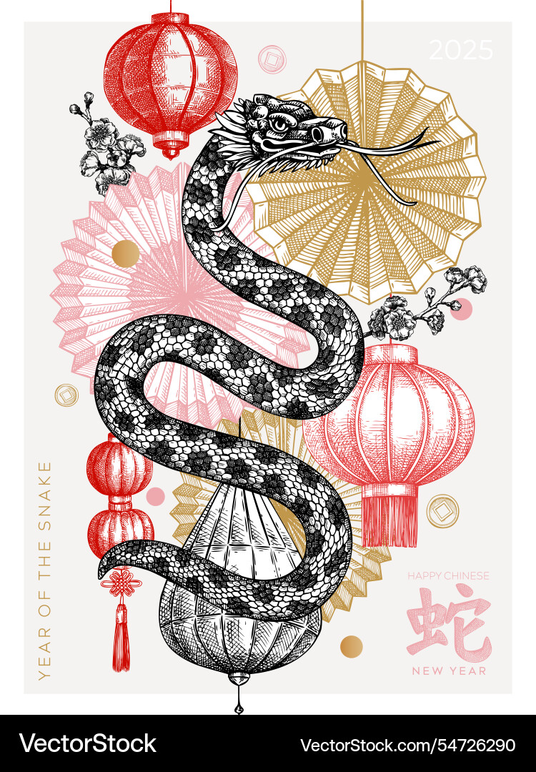 Chinese new year poster decorative snake sketch Chinese new year poster decorative snake sketch vector image