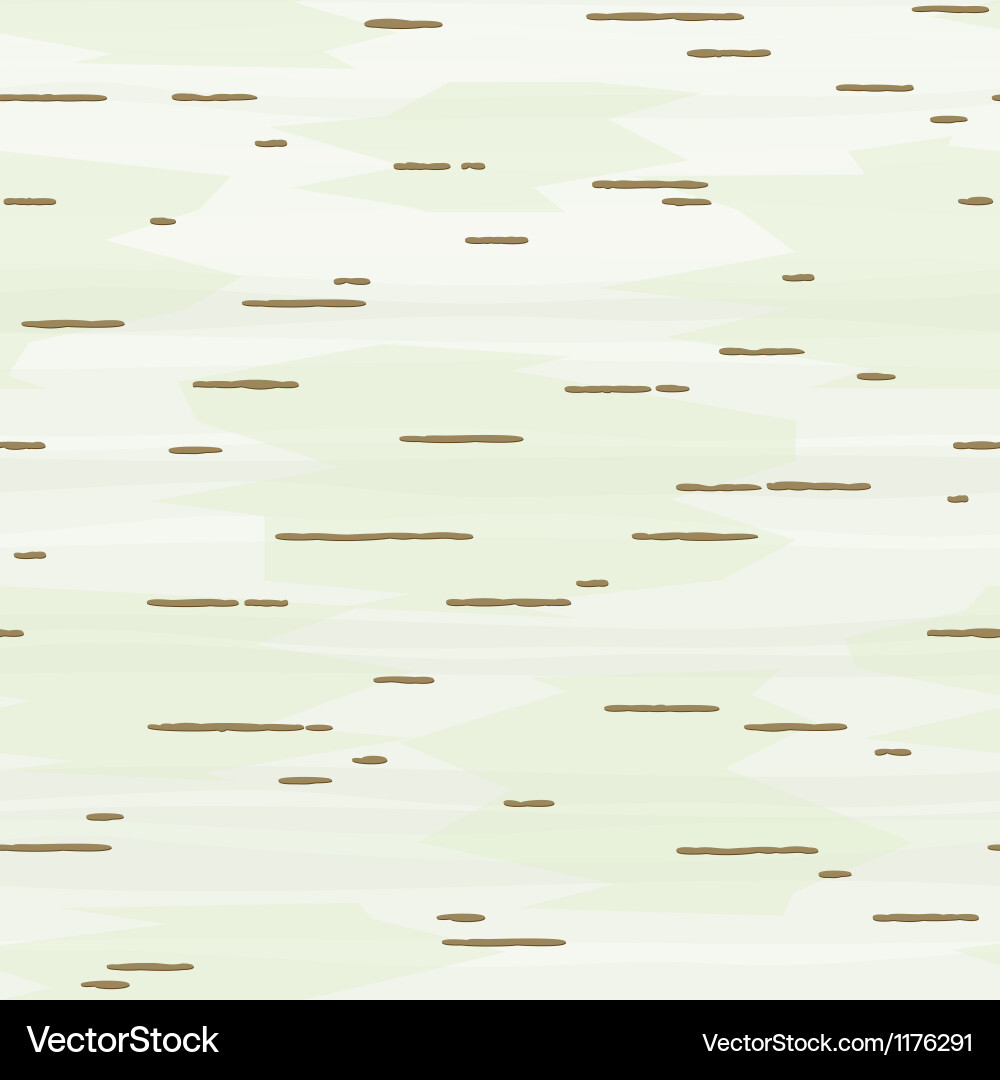Birch Bark Texture Seamless Pattern vector image
