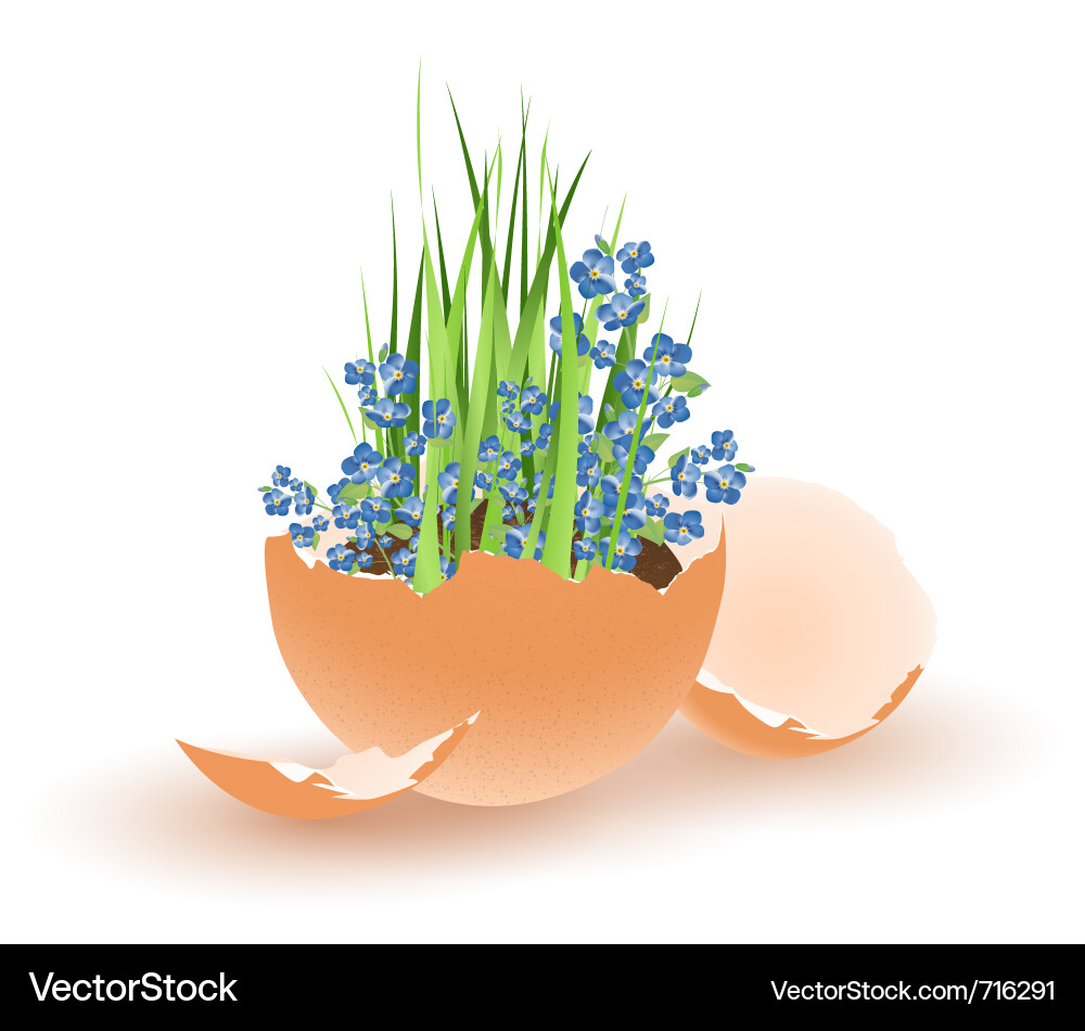 Easter Bloom with Growing Flowers Vector Image