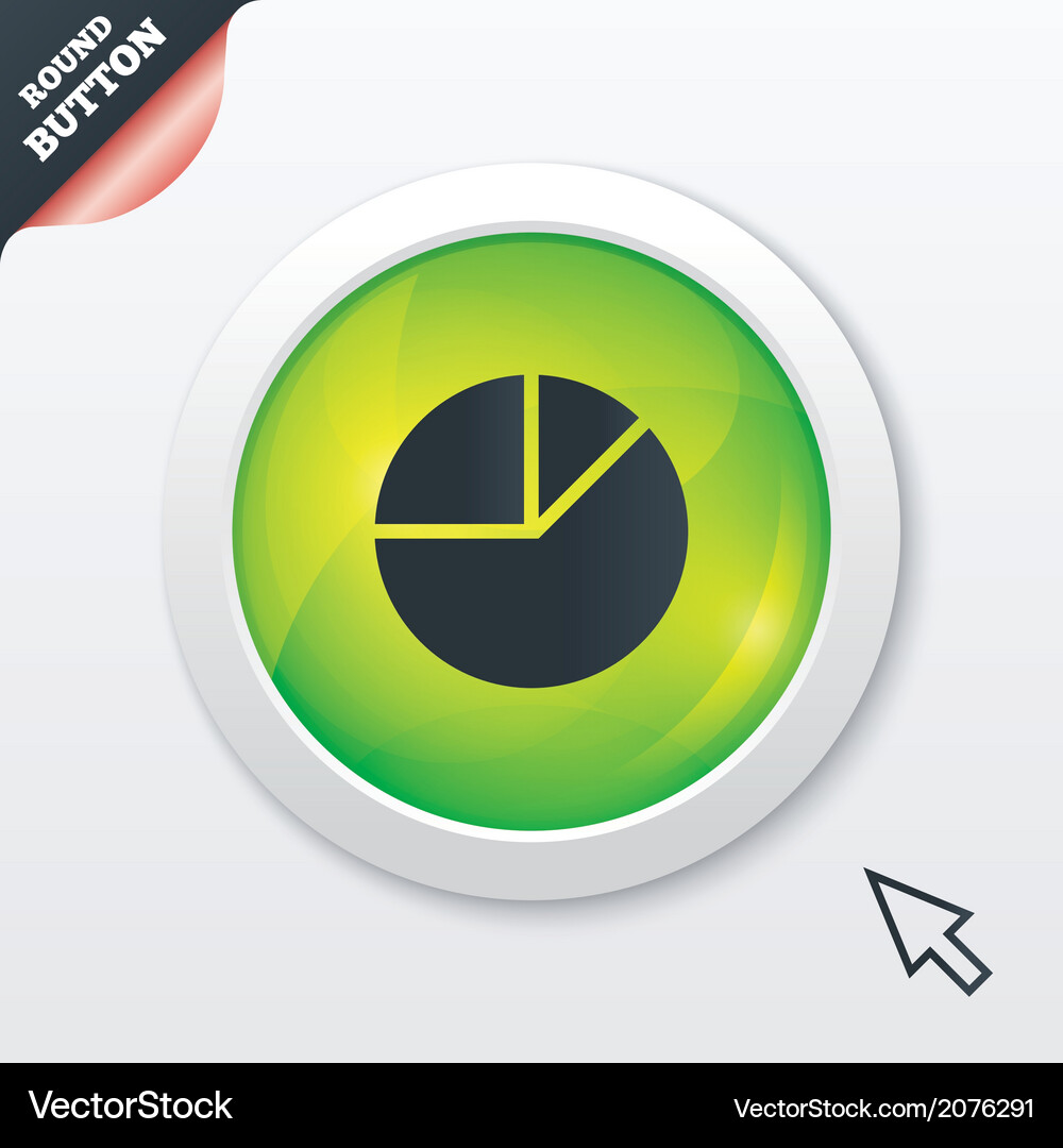 Pie chart graph sign icon diagram button Vector Image
