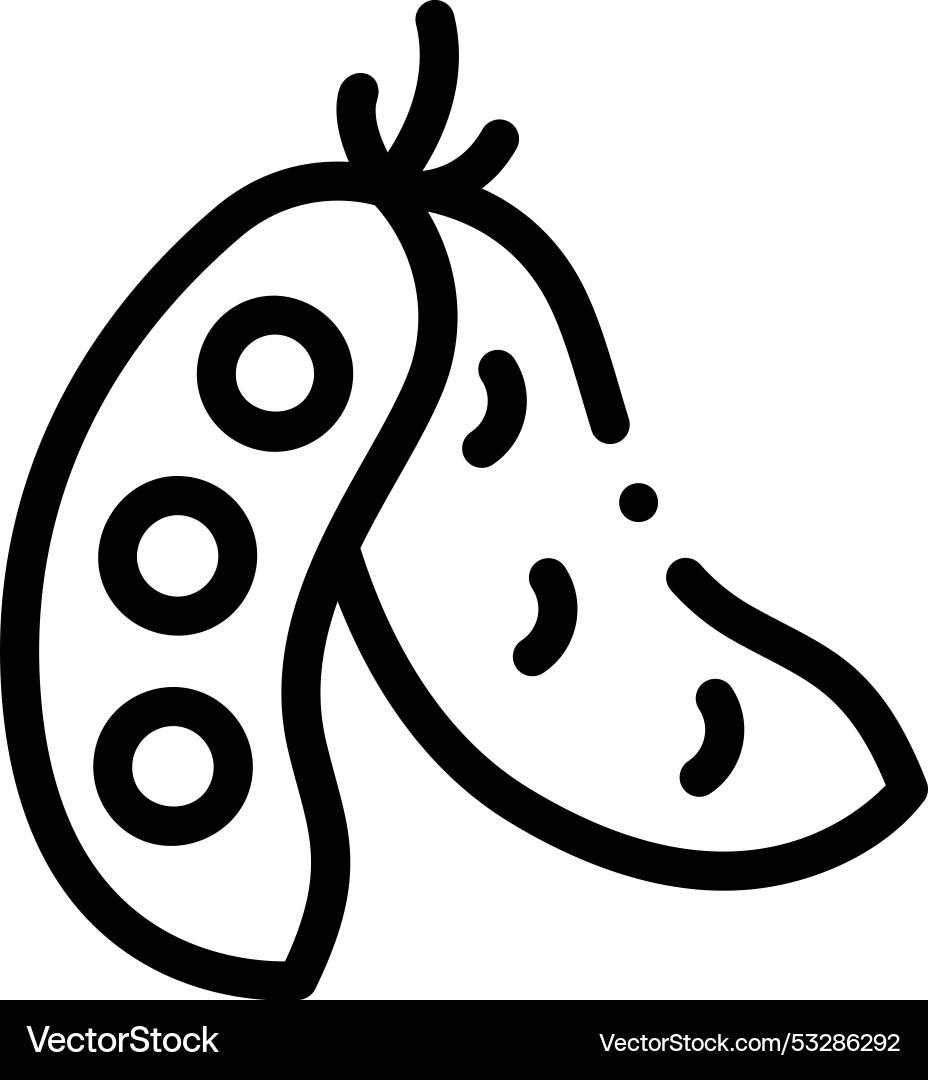 Edamame icon thin linear style design isolated Edamame icon thin linear style design isolated vector image