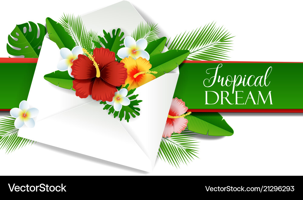 Paper cut envelope with tropical flowers vector image