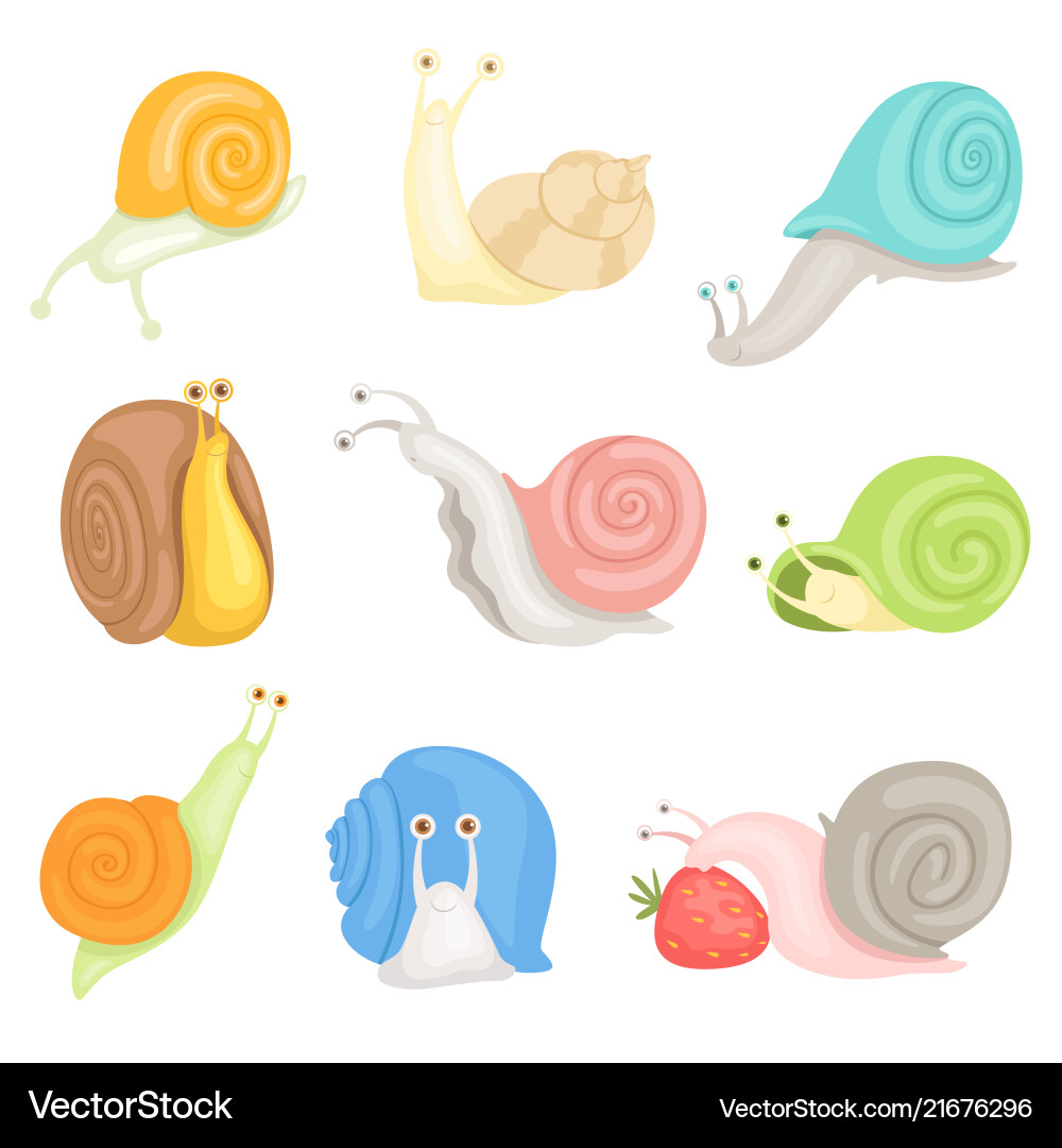 Cheerful little garden snails set cute clams vector image