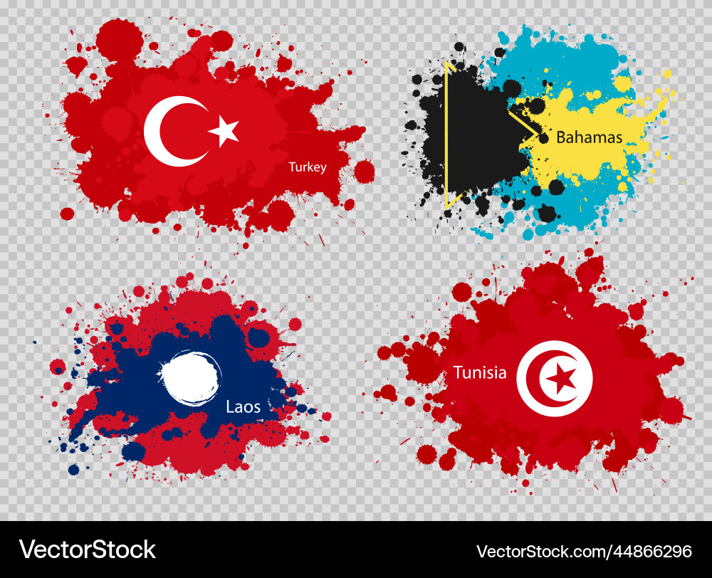 Paint spot of flag en transparent background vector image