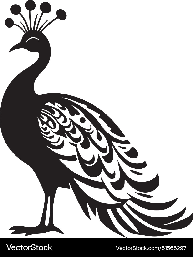 Peacock - minimalist and flat logo – Royalty-Free Vector | VectorStock, image size:810x1080