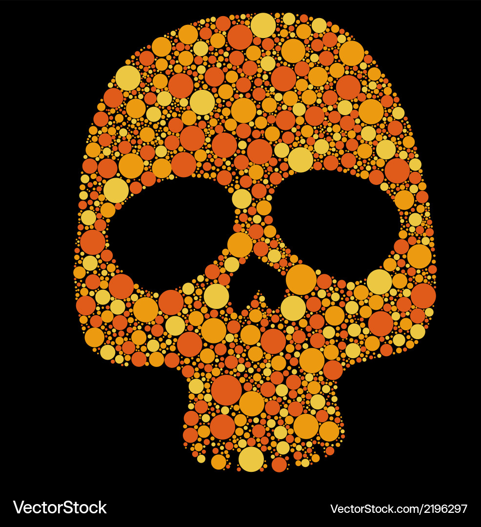 Skull pattern circles vector image