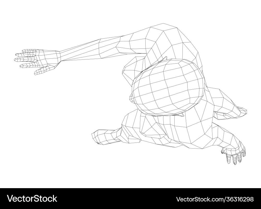 Wireframe Female Figure Vector Image