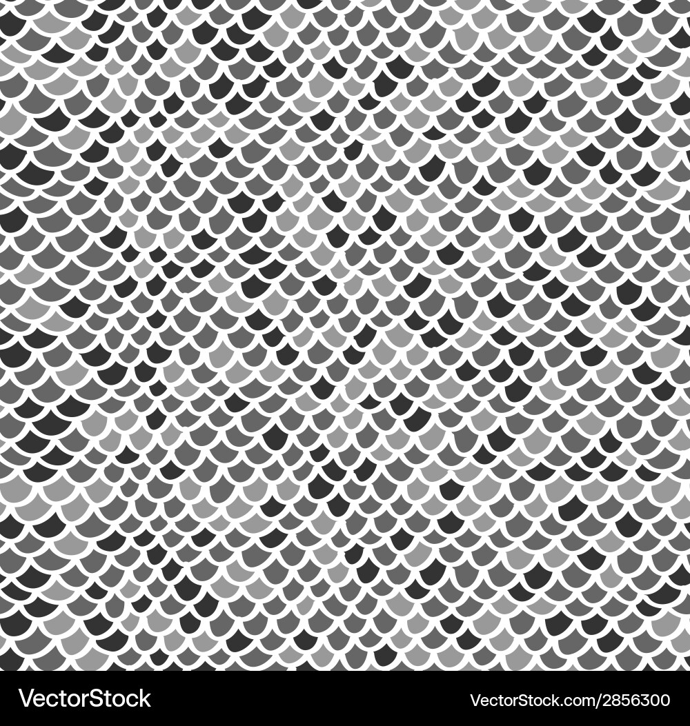 Scales Seamless Pattern vector image