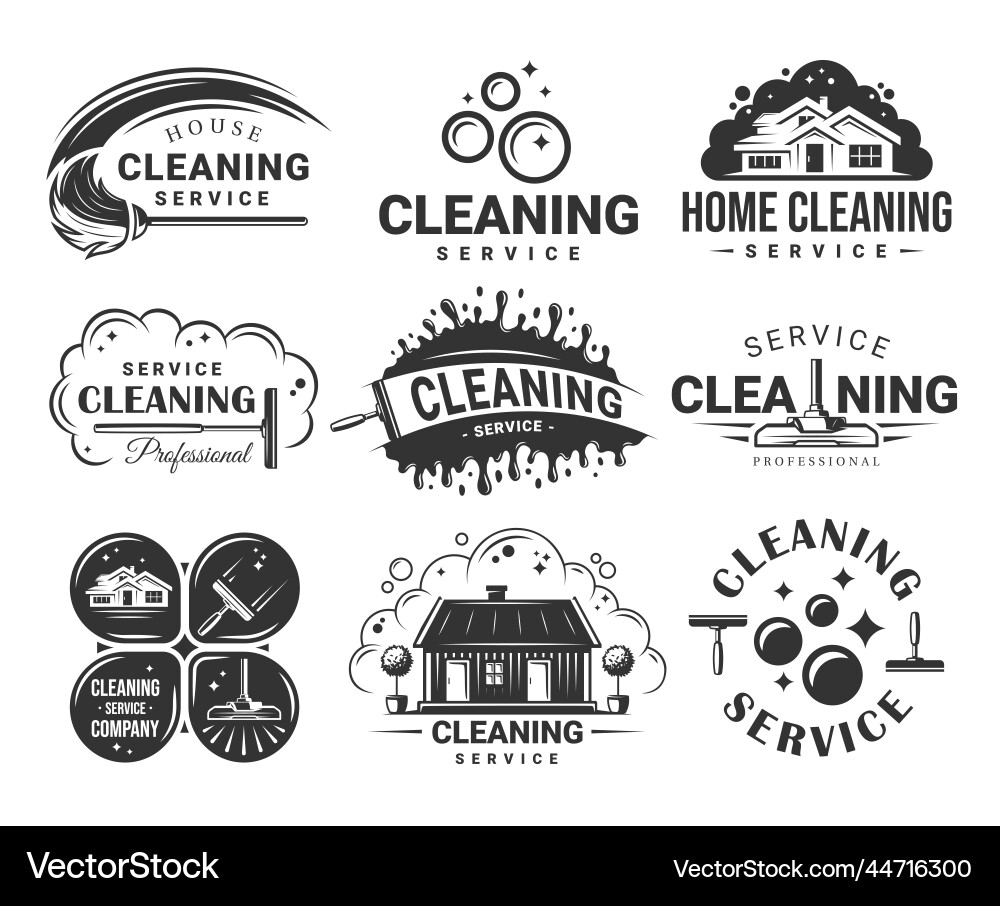 Vintage Cleaning Service Labels & Elements vector image