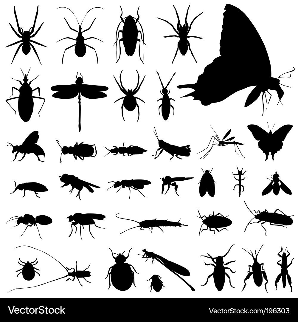 Insect Silhouettes Collection vector image