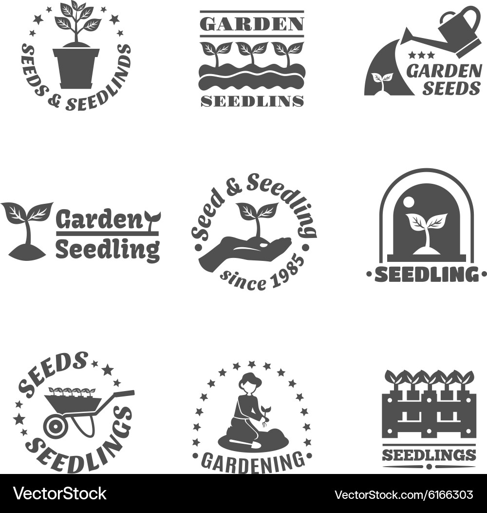 Seedling Label Collection Vector Image