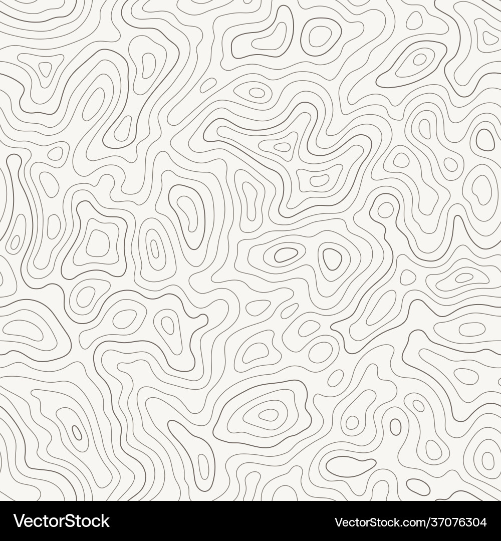 Topographic Line Map - Seamless Pattern vector image