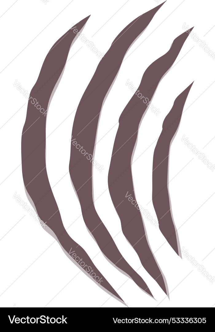 Four sharp claw marks slashing through Four sharp claw marks slashing through vector image