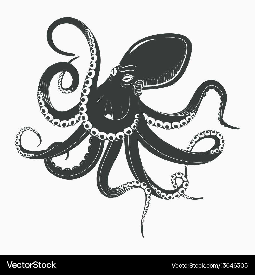 Ocean octopus or underwater squid vector image