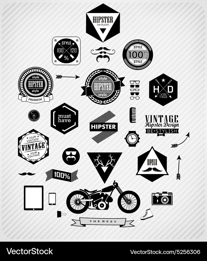 Hipster style elements and icons Vector Image