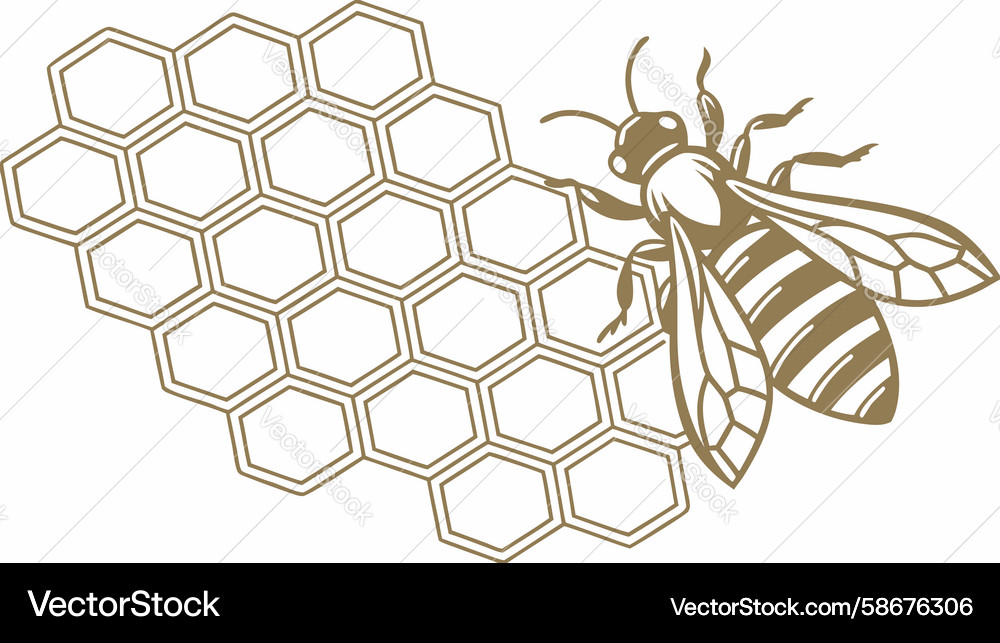 Honeycomb pattern with bee design generative ai Vector Image