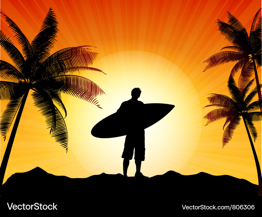 Tropical Sunset Silhouette Vector Image