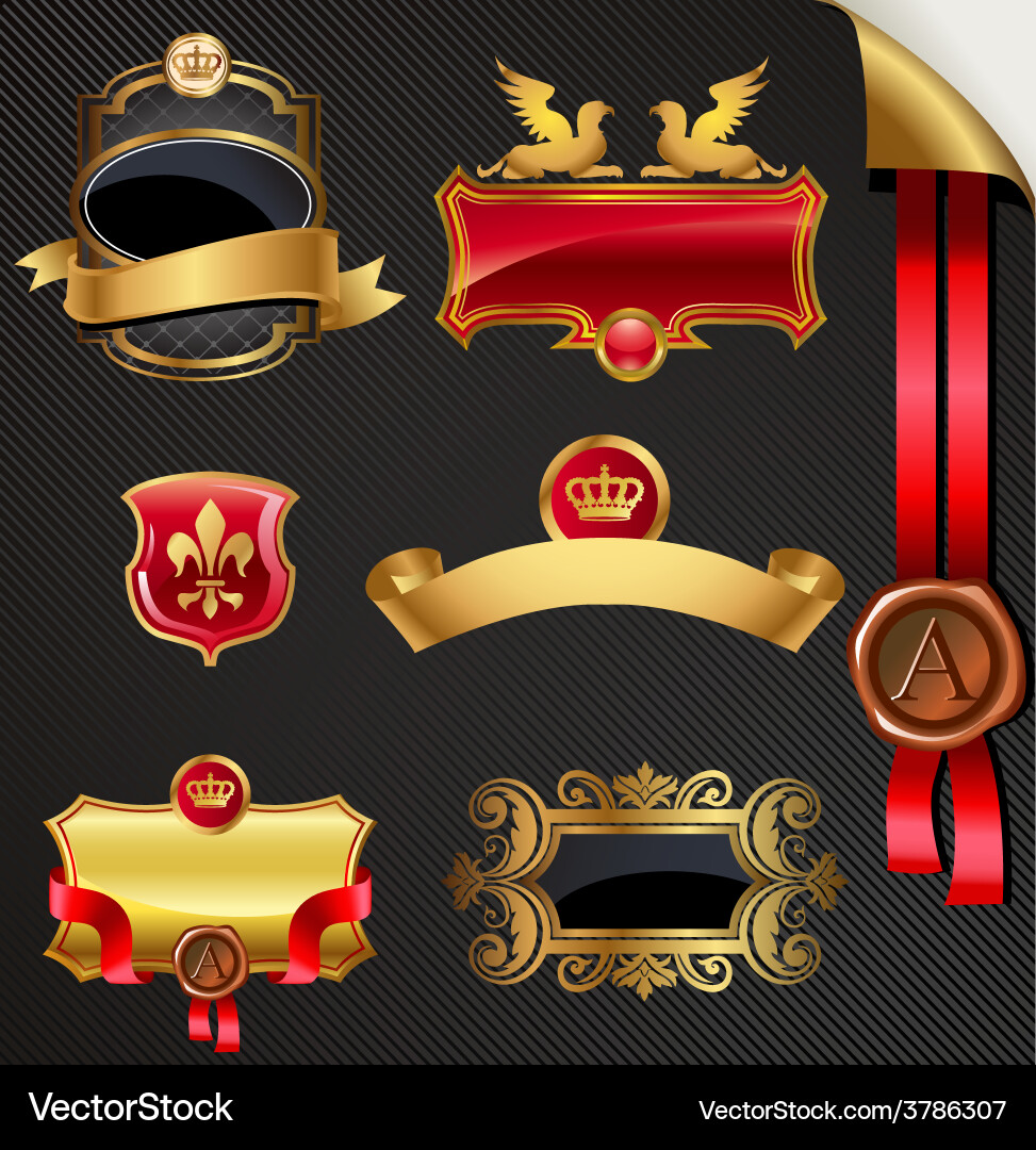Elegant Golden Frames & Labels vector image