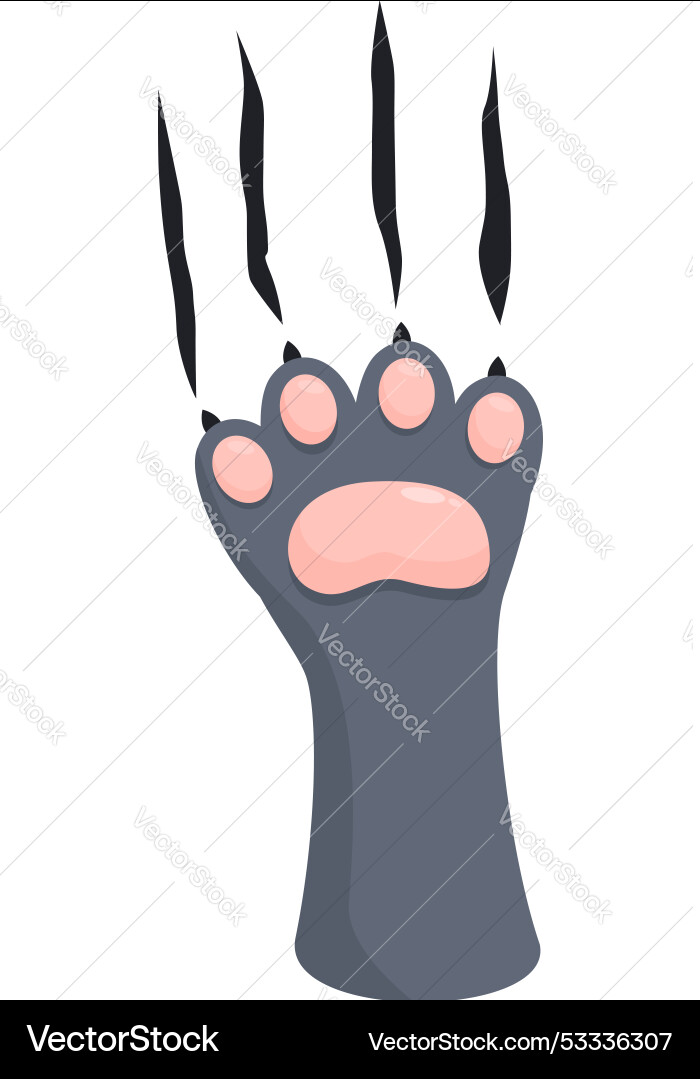 Gray cat paw with sharp claws extending Gray cat paw with sharp claws extending vector image