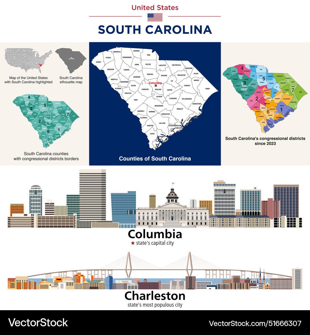 South Carolina Counties & Cities Map Vector Image