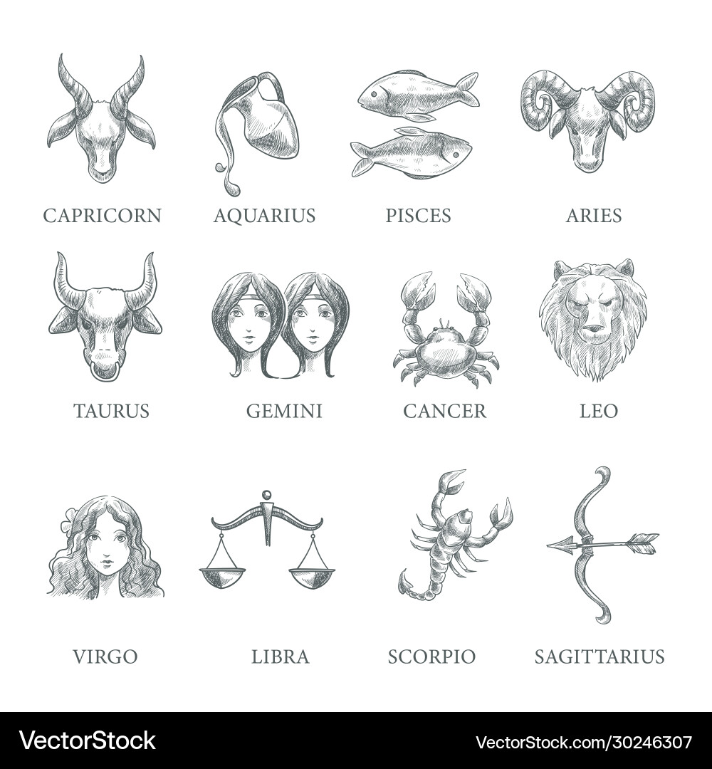 zodiac-constellation-symbols-vector-30246307 Хороскоп – между вярването и реалността