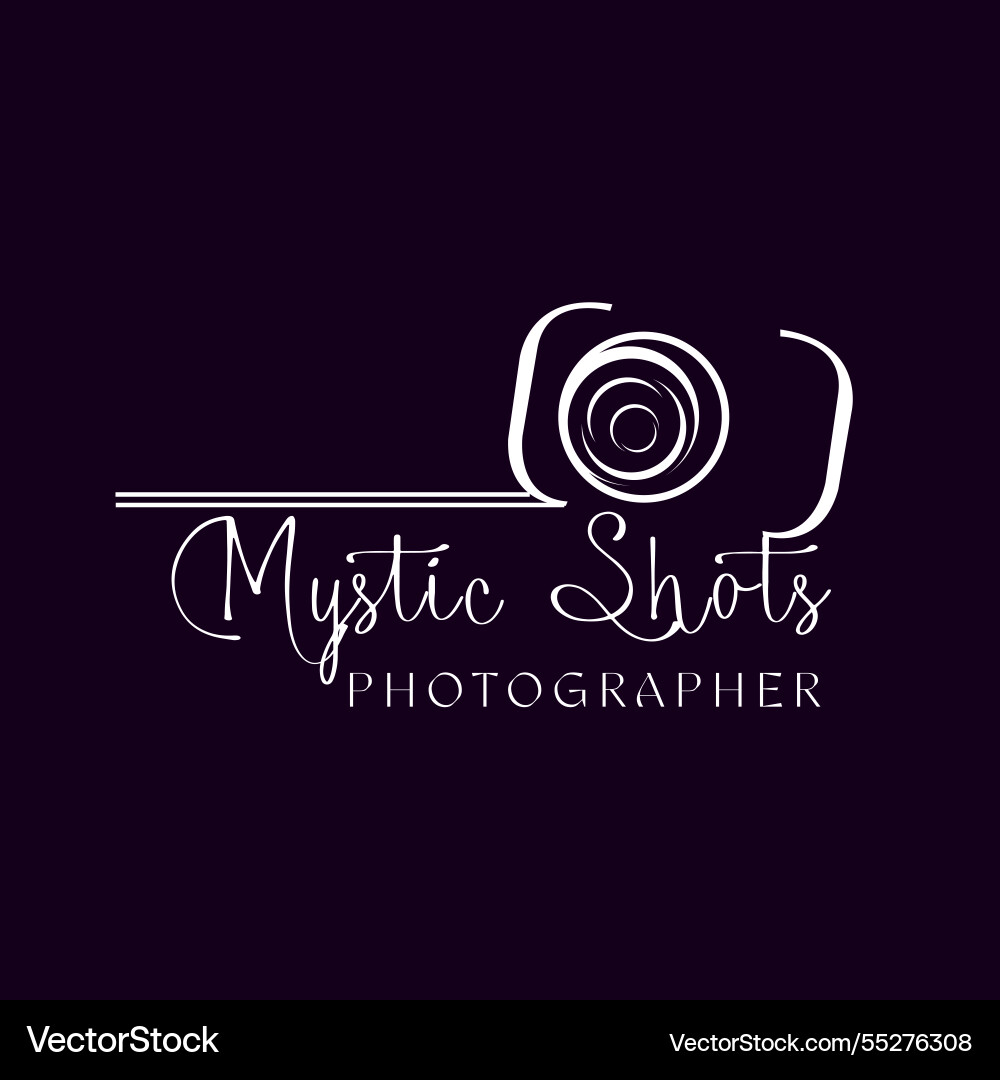 Stylish camera design Vector Image