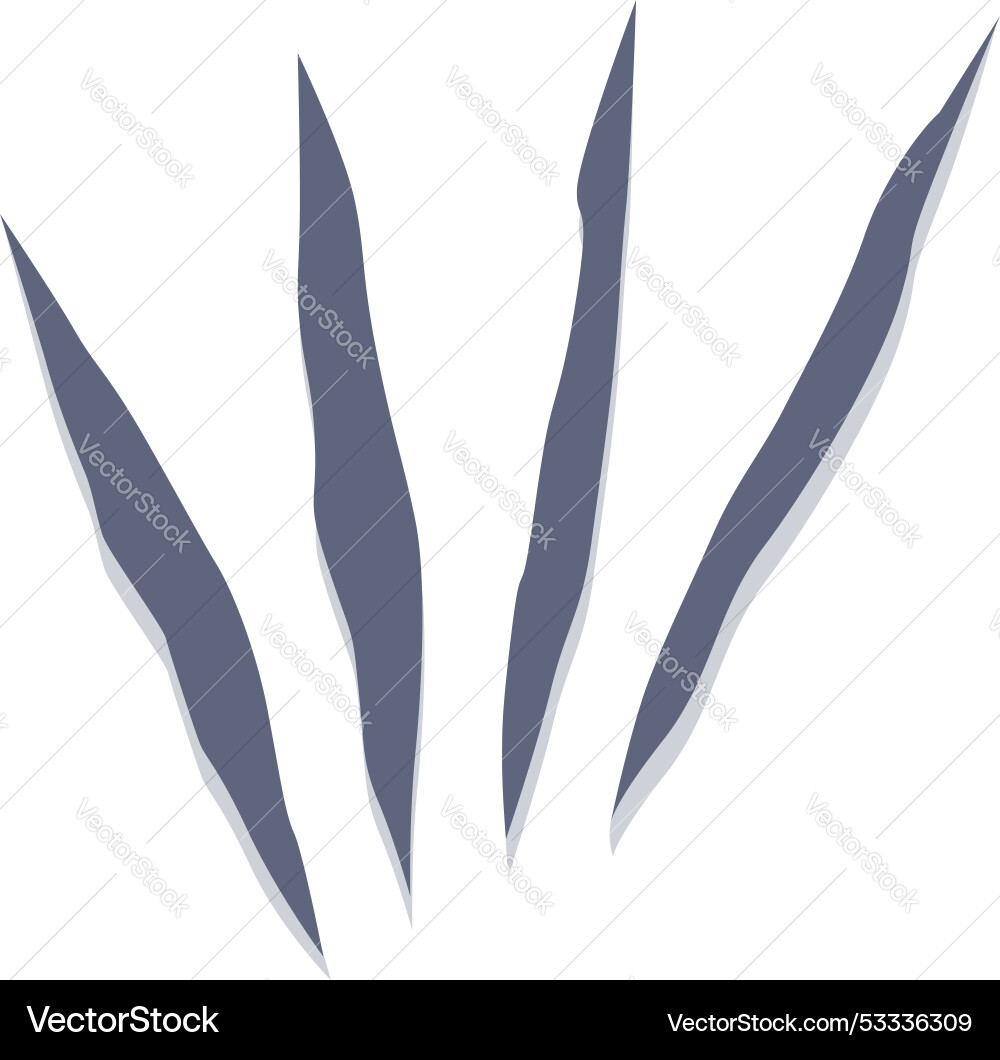 Four sharp claws scratching leaving deep cut marks vector image