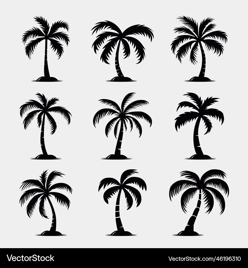 Palm trees tree icon set isolated Palm trees tree icon set isolated vector image