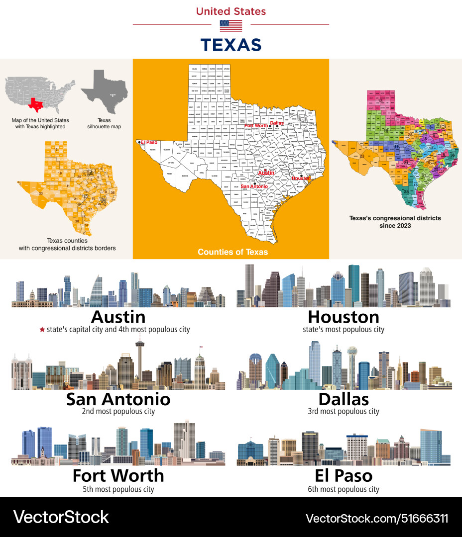 Texas counties map and congressional districts Texas counties map and congressional districts vector image