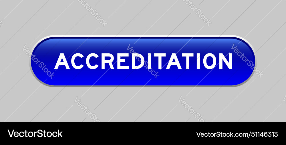 Blue color capsule shape button with word Blue color capsule shape button with word vector image