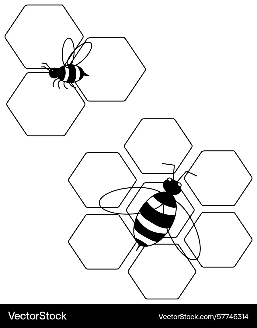 Beehive honeycomb with hexagon grid cells and bee Beehive honeycomb with hexagon grid cells and bee Vector Image