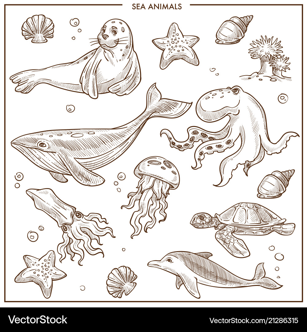 Ocean Animals Sketch Collection – Royalty-Free Vector | VectorStock, image size:1000x1080