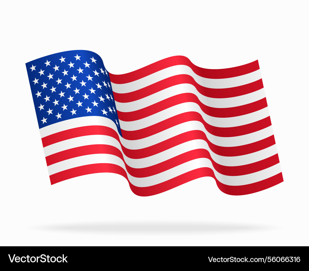 American flag wavy background layout American flag wavy background layout vector image