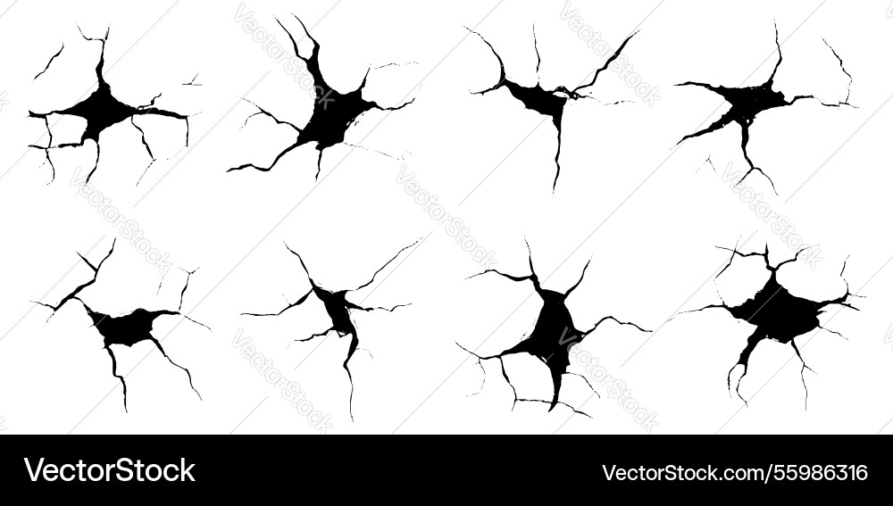 Unique set of cracks showcasing intricate patterns Vector Image