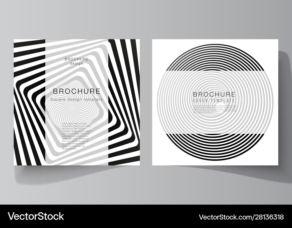 Minimal layout two square format Minimal layout two square format vector image