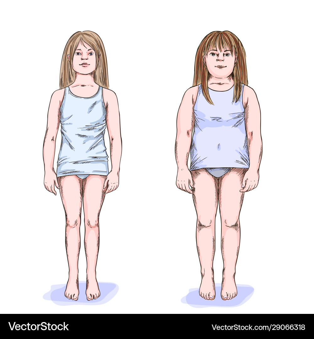 Two girls fat and slim full color sketch Two girls fat and slim full color sketch vector image