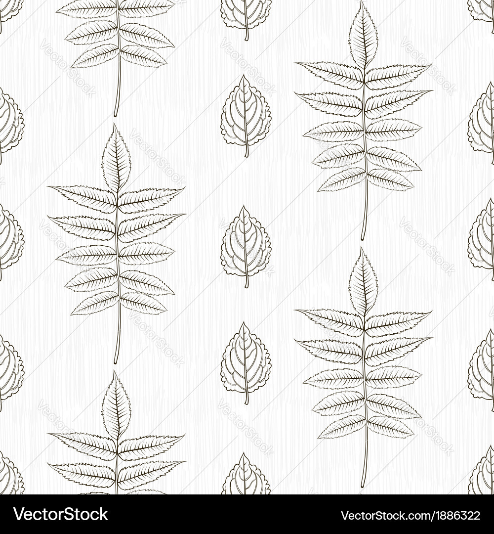 Elegant pattern with leafs drawn in thin lines Vector Image