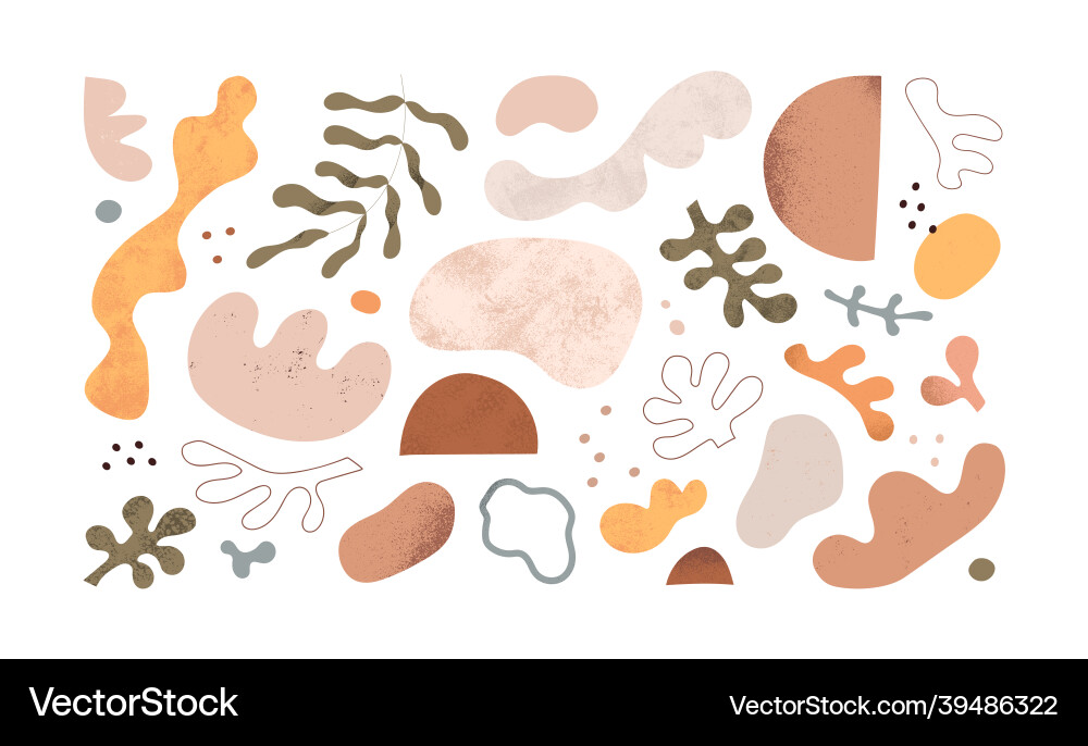 Organic Shapes & Leaf Motifs vector image