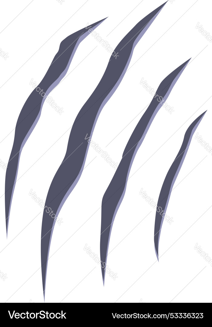 Four sharp claw marks slashing through a blank Four sharp claw marks slashing through a blank vector image
