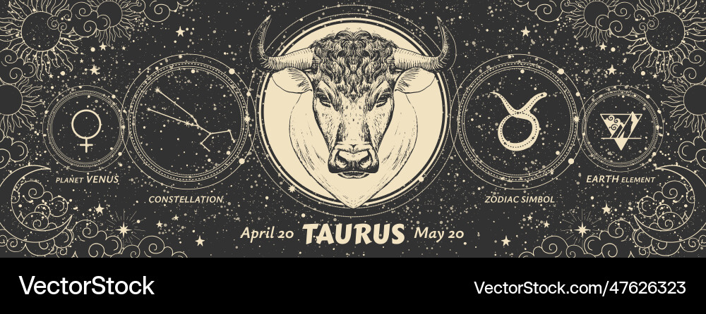 Taurus zodiac sign vintage astrology graphic vector image